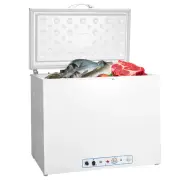 Smad 2way Storage 200l Gas Freezer Propane-powered Cooler RV Fridge Outdoor LPG