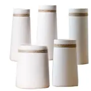 Ceramic Matte Vase Nordic White Gold Decor Vases