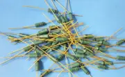 4pcs- Zener Diode, 5.6V, Gold Leads