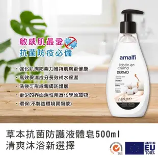 【CLIVEN 香草森林】草本抗菌防護液體皂(500ml)