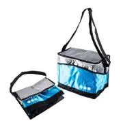 Ozoffer Multi Purpose Home Master Insulated Cooler Bag Collapsible Lightweight 30cm