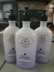 (3) THREE Bath & Body Works Steeped Relaxation LAVENDER MINT TEA Body Lotion