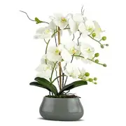 White Orchid Artificial Flowers with Pot White Orchid Large