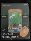 Brave Finder LED Light-Up Terrarium Kit Dinosaur Themed/ Glow In The Dark