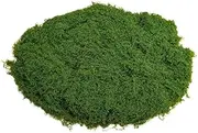 100g Fake Moss for Crafts,Fake Moss Artificial Moss Simulated Moss Turf Artificial Moss Reindeer Moss Landscape Moss Synthetic Moss Artificial Moss for Planters ﻿ (Deep Green)