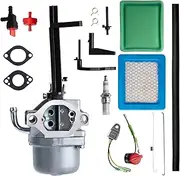 697978 591378 Carburetor Compatible with Briggs & Stratton 591378 796321 796323 696132 696133 796322 697351