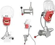 Dental Simulator Mannequin Head Teeth Model, Manikin Phantom Training Fix on Desk Clip Rotating Freely Teaching Practicing Mold