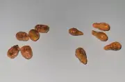 Dollhouse Hot Wings Loose Set Snack Appetizer Chicken Wings