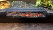 Aquarium Shrimp Hide, Breeding Shrimp Hide Tunnel & Cave Black (Black, Medium)