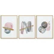 50Cmx70cm Blush Pink Watercolor 3 Sets Gold Frame Canvas Wall Art