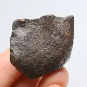 28g Chondrite from Northwest Africa R1858