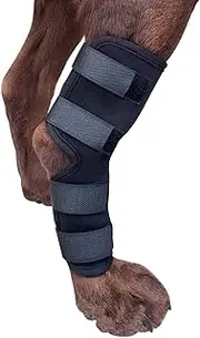 Leg Brace, Dog Canine Rear Leg Hock Brace, Joint Compression Dog Brace Wrap for Recovery, Protection Sprain & Injury Prevention, Knee Hock Ankle Extra Supportive for Dogs, 1 Pair (XL)