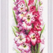 Glorious Blooms Cross Stitch Kit - Delightful Gladioli, 14 Count, 7.75"X19.75"