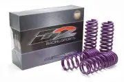 D2 PRO Lowering Springs 2002-05 Honda Civic Si EP3 2.0"F/2.0"R - D-SP-HN-20 (for: Honda)