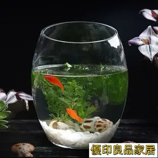 開立發票 玻璃魚缸創意桌面魚缸生態圓形玻璃金魚缸烏龜缸迷你小型造景家用水族箱yylp1024