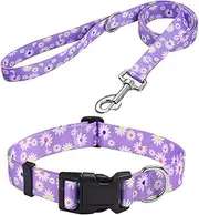 MarukoPet Dog Collar and Leash Set, Adjustable for Small Medium Large Dogs Puppy, Cute Design with Bohemia Floral Tribal Geometric Patterns Boys Girls Dog Collar(Purple Daisy Set,XS)