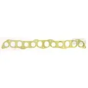 Platinum Extractor Gasket - HSM54