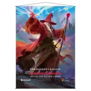 Magic Battle for Baldurs Gate Wall Scroll V1