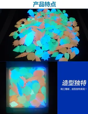 海洋夜光石貝殼海螺50粒彩色發光石水族魚缸造景熒光石子
