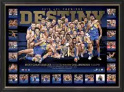 West Coast Eagles 2018 AFL Premiers Destiny Photo Poster Framed Memorabilia