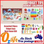 24pcs Christmas Toys Fidget Calendar Advent Toy Xmas Pop Simple Dimple Toy Gift