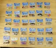 Dress It Up Jesse James CREATIVE BUTTON ASSORTMENTS Various Themes YOU CHOOSE