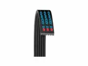 For 1999-2003 Saab 93 Multi Rib Belt Dayco 75574YY 2000 2001 2002 B205R (for: Saab)