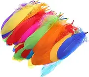 NUOBESTY Crafts Kit 120pcs Plumes Wedding Decor Craft Plume Home Decor DIY Plume Decoration