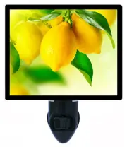 Kitchen Decorative Photo Night Light, Lemon Tree, Fruit, Yellow