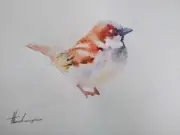 Housesparrow, Birds, Watercolor artwork, Handmade, Original painting on paper