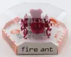 HEXBUG Fire Ant Pink 477-2864 - Brand New