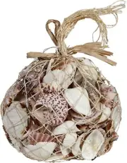 Assorted Seashells Seashells Bulk Shell Pack in Abaca Net Bag (1 Kilo)