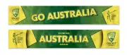 Australia Cricket World Cup 2015 Banner Flag * Attach to Glass * Wave at Games!