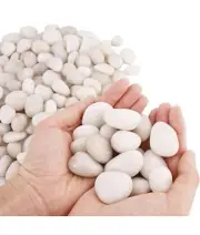Natural Cream White River Rocks 2-3 Inch High Polished Decorative Rocks Pebbles