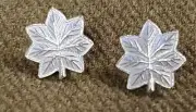 WWI US Army Officer Lieutenant Colonel Shirt Size Insignia, One Pair