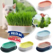Cat Grass Cultivation Kit with Seeds Catnip Planting Box Cat Grass Growing Box