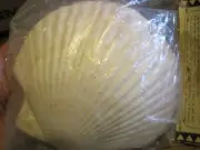 VTG NOS REAL LARGE 4 SCALLOP SEA SHELL/CLAM BAKING DISHES BY ELPO-AUGRATIN-JAPAN