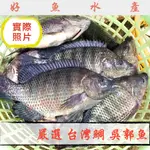 吳郭魚 台灣鯛魚 鯛魚 750G /淡水/鹹水/無土味 /三去真空包裝 /極細嫩肉質 /簡單料理就美味 /小家庭適用