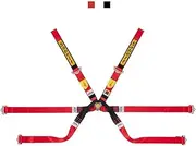 Sabelt FIA8853-2016 Silver Formula 6PT Lightweight 2" Pull Up Red