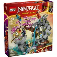 在飛比找蝦皮商城優惠-LEGO樂高 LT71819 Ninjago 旋風忍者系列 