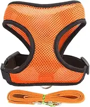 Dog Harness Walking Lead Leash for Small Dogs Collar Polyester Adjustable Mesh Puppy Cat Harness Vest for Medium Pet Accessories (Orange,M(2.5-4 kg))
