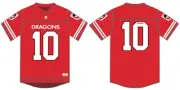 St George Illawarra Dragons NRL COTTON-ON Mens Oversized Grid Iron T-Shirt by Sp