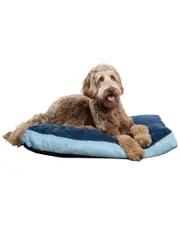 Modern Threads orthopedic Memory Foam Soft Plush Pillow Bed
