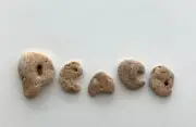 Natural Letter Shaped PEACE Rocks Beach Stones pebble art craft hag holey USA
