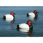 AVERY GREENHEAD GEAR OVERSIZED CANVASBACK DUCK DECOYS FIXED KEEL NEW !!!