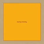 Leaving Meaning