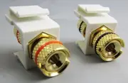 Riteav 2 Pack Banana Speaker Keystone Jack Port Coupler F-F Ring 1 Red-Black