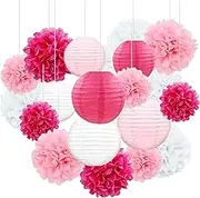 Hanging Party Decorations Pom Tissue Paper Lantern for Weddings, Birthdays, Parties and Events Decorations, Hanging Paper Lantern Paper Tissue Flowers 10" 8" Set - Pink/White/Rose
