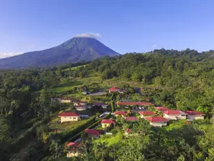 阿尼亞火山旅館飯店