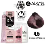 [Alama] SOS color & go 10 minutes 4.5 coloring 10min duo set 90 + 90 ml kit
